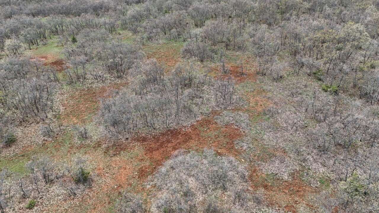 Gülistan Doku soruşturmasında 40 kilometrelik alanda mezar aranıyor 8